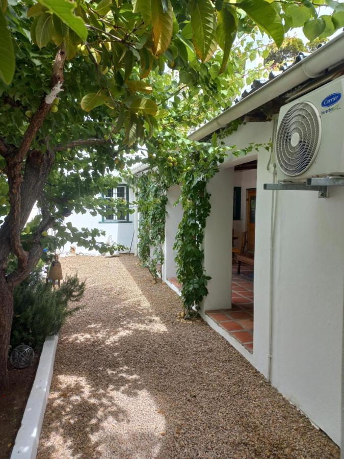 Prince Albert Cottage Dış mekan fotoğraf